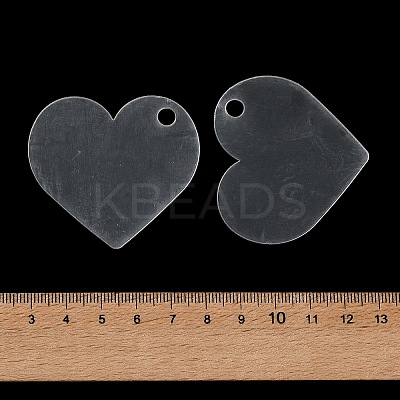 Transparent Acrylic Disc Big Pendants ZXFQ-PW0001-039J-1