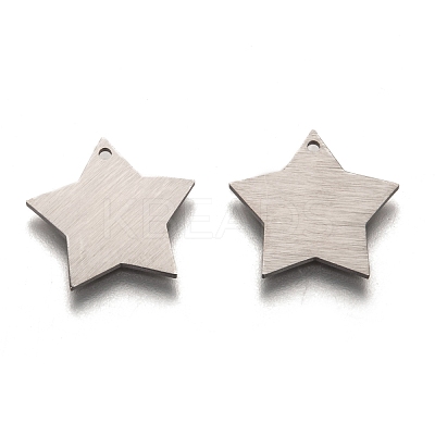 Tarnish Resistant 304 Stainless Steel Pendants STAS-O133-03F-P-1