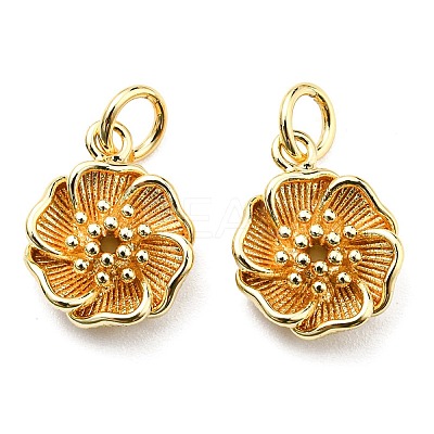 Rack Plating Brass Charms KK-D026-22G-1