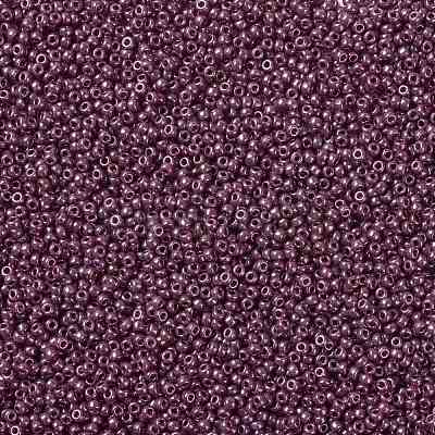 MIYUKI Round Rocailles Beads SEED-JP0009-RR0313-1