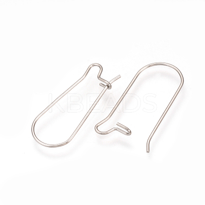 Tarnish Resistant 304 Stainless Steel Hoop Earrings Findings STAS-Q223-11A-1