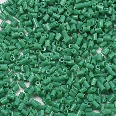 Two Cut Glass Seed Beads CSDB47-1