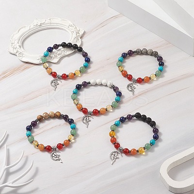 Chakra Theme Gemstone & Synthetic Hematite Beaded Stretch Bracelets for Women BJEW-JB09277-1