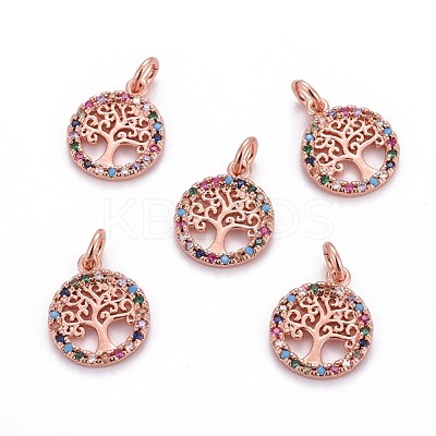 Brass Micro Pave Cubic Zirconia Charms ZIRC-L070-45RG-1