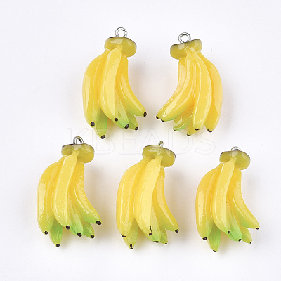 Resin Pendants X-RESI-T028-46-1