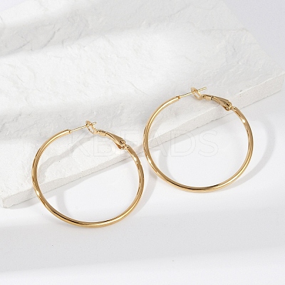 201 Stainless Steel Hoop Earrings LS-EJEW-F188-24G-B-1
