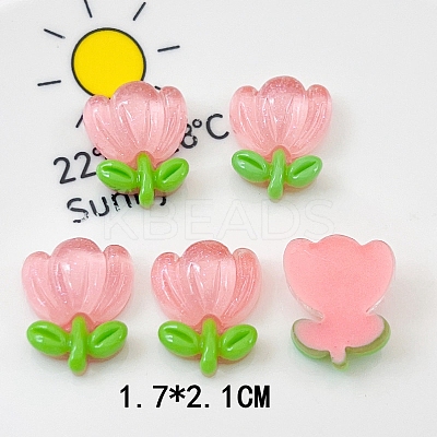 Translucent Resin Decoden Cabochons LS-PW-WG80860-04-1