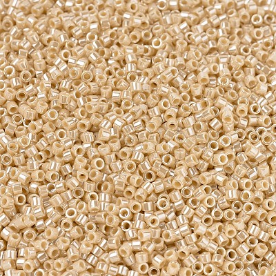MIYUKI Delica Beads X-SEED-J020-DB1561-1