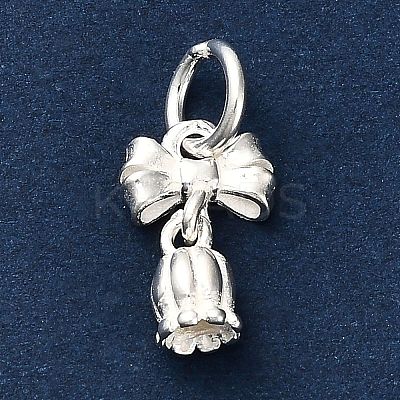S925 Sterling Silver Charms STER-K183-01S-1