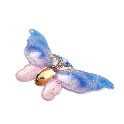 Gradient Color Resin Pendants RESI-Q012-03C-1