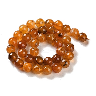 Natural Agate Beads Strands G-M437-B01-01L-1