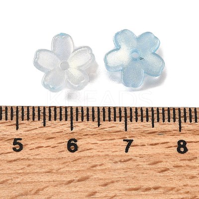 Acrylic Bead Caps OACR-I024-01C-1