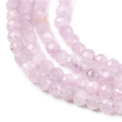 Natural Kunzite Beads Strands G-P603-C-2mm-05-1