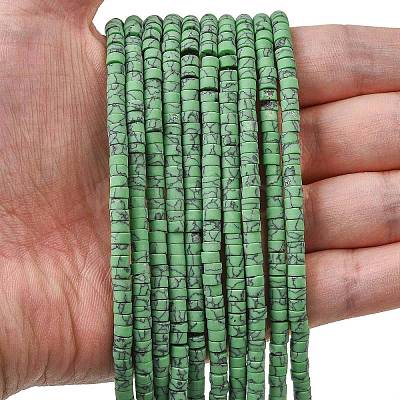 Dyed Synthetic Turquoise Beads Strands G-Z089-A04-J-1
