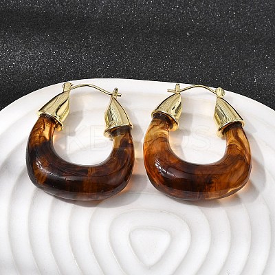 Brass Resin Hoop Earrings EJEW-P333-11D-G02-1