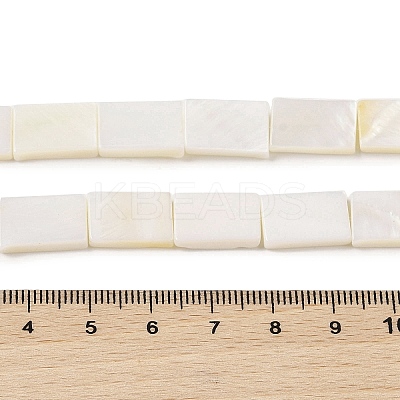 Natural Freshwater Shell Beads Strands BSHE-H018-03-1
