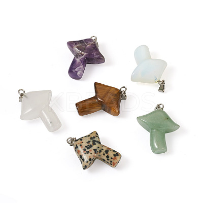 12Pcs 6 Style Natural & Synthetic Gemstone Pendants G-YS0001-12-1