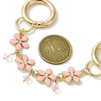 Zinc Alloy Spring Gate Rings Bag Extension Chains AJEW-BA00142-02-1