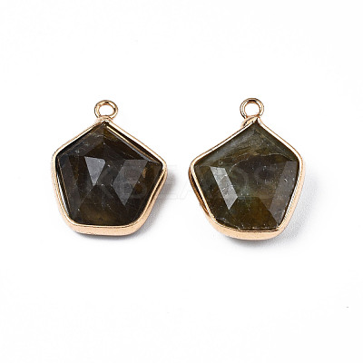 Natural Labradorite Pendants G-S359-381-1