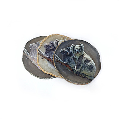 Printed Natural Agate Slice Stone Ornament DJEW-M011-04B-1