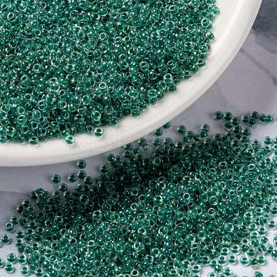 MIYUKI Round Rocailles Beads SEED-JP0010-RRHB169-1