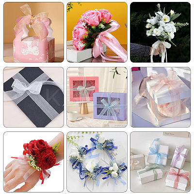 1 Rolls Sheer Organza Ribbon SRIB-CY0001-22B-07-1