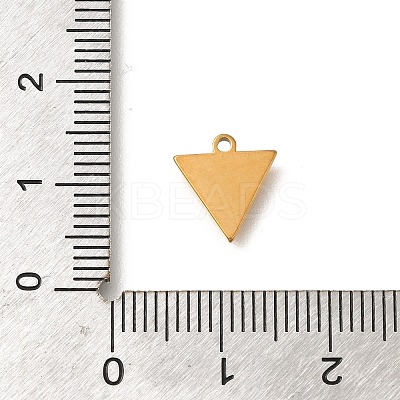 304 Stainless Steel Charms STAS-S144-01G-D-1