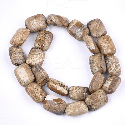 Natural Picture Jasper Beads Strands G-T121-12-1