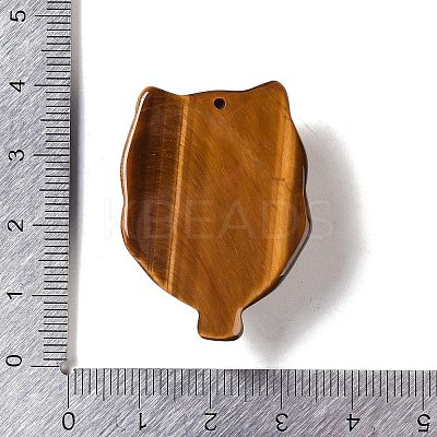 Natural Tiger Eye Carved Pendants G-I361-06A-1