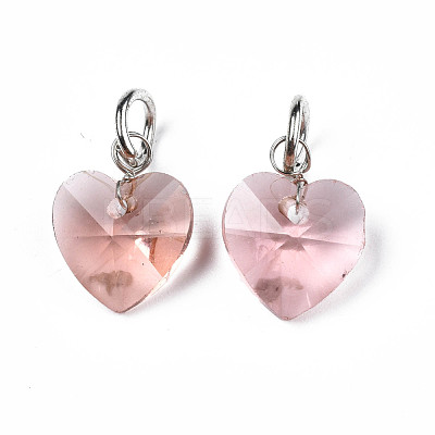 Faceted Transparent Glass Charms GLAA-T024-04J-1