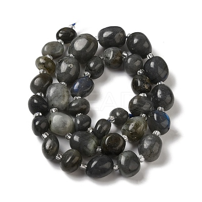 Natural Larvikite Beads Strands G-Q169-E05-01-1