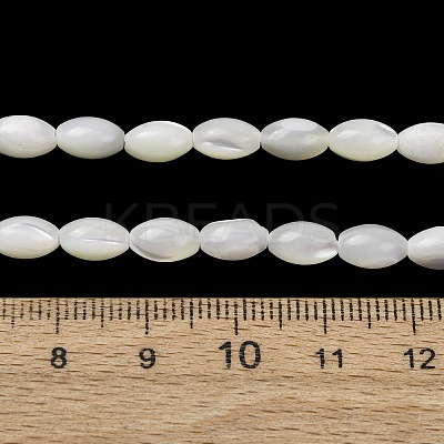 Natural Trochid Shell/Trochus Shell Beads Strands SH-CBA2978-09-1