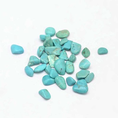 Dyed & Heated Natural Howlite Chip Beads X-G-L453-01-1