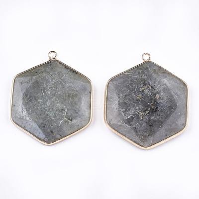 Natural Labradorite Pendants G-T112-19A-1