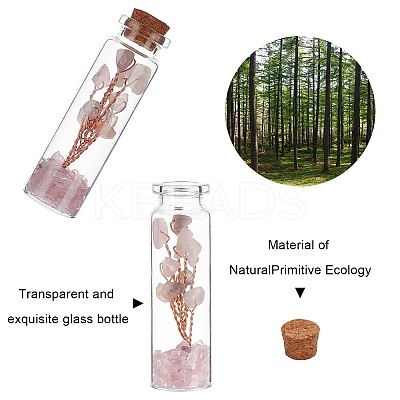 Glass Wishing Bottle DJEW-GF0001-05A-1