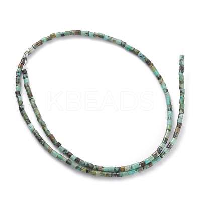 Natural African Turquoise(Jasper) Beads Strands G-H255-08-1