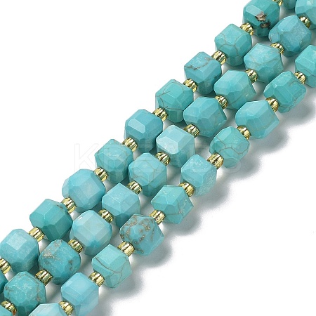 Natural Howlite Beads Strands G-E604-C01-1