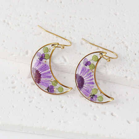 Moon 304 Stainless Steel Dangle Earrings WG43EF9-05-1