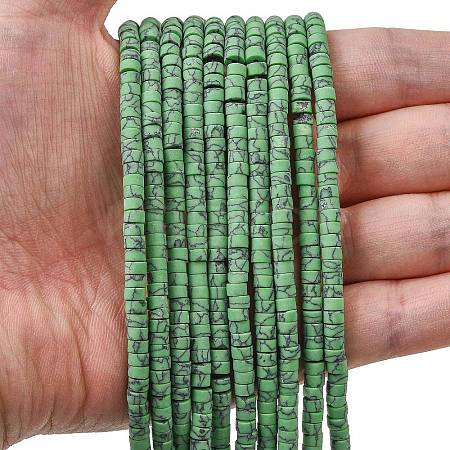 Dyed Synthetic Turquoise Beads Strands G-Z089-A04-J-1