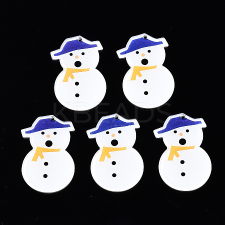 Transparent Printed Acrylic Pendants KY-S163-341-1