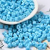 Baking Paint Glass Bead SEED-H002-K-D303-1