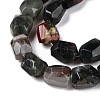 Natural African Bloodstone Beads Strands G-N342-147-3
