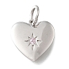 925 Sterling Silver Micro Pave Clear Cubic Zirconia Charms STER-V001-01P-10-1