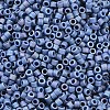 MIYUKI Delica Beads SEED-X0054-DB2317-2