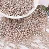 MIYUKI Round Rocailles Beads SEED-X0055-RR0579-1