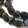Natural Larvikite Beads Strands G-P497-01E-85-4