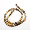 Round Natural Crazy Lace Agate Beads Strands G-P058B-01-1