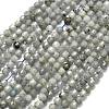 Natural Labradorite Beads Strands G-A260-A44-01B-2