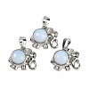 Opalite Pendants G-I374-A-P21-1