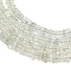 Natural Green Quartz Beads Strands G-Z152-F02-02-4